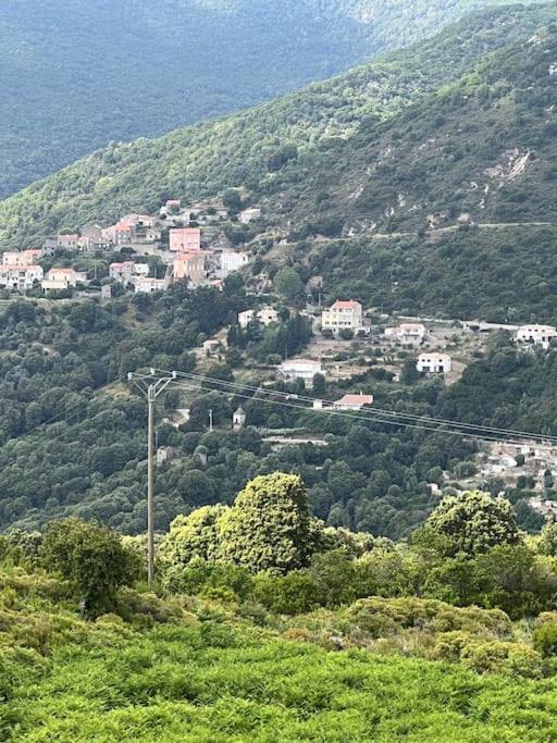 Nid Douillet Entre Et Montagne Pour Famille *
