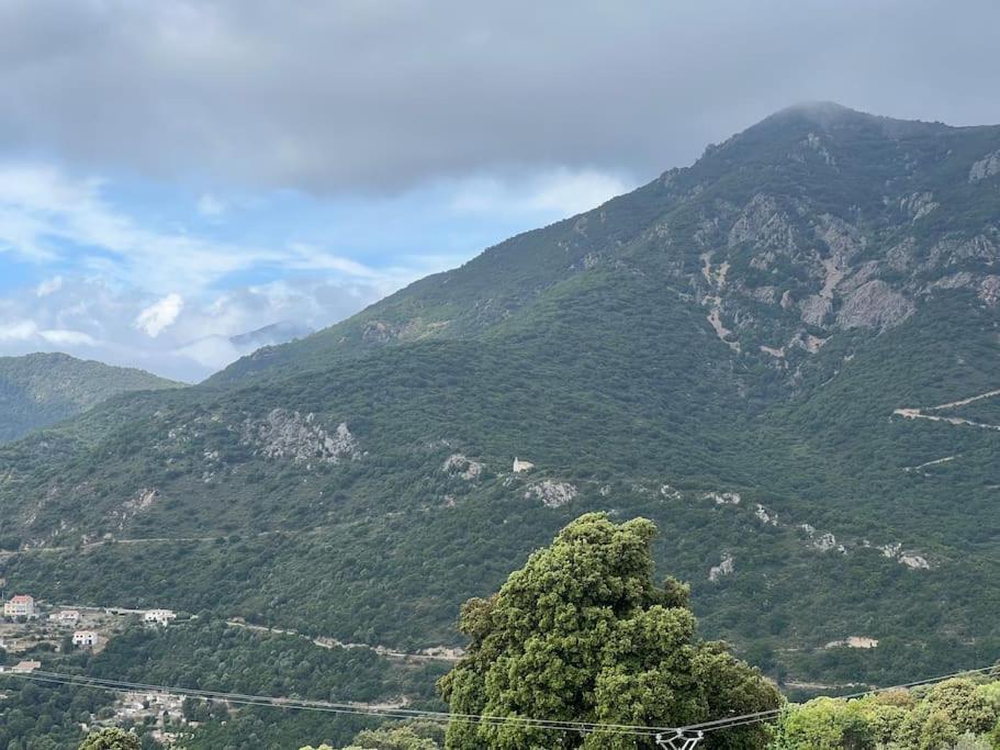 Nid Douillet Entre Et Montagne Pour Famille Apartment *